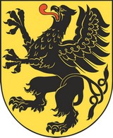 Młodzi detektywi na tropie czyli lokalne badania nad pamięcią ludzką. Historia pisana przez życie.